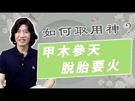 甲木特質|【甲木命】解析甲木命：性格特質與人際攻略